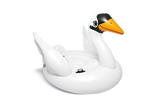 Piscina Insuflável INTEX Colibri (178x140x132cm) INTEX - Brinquedos - insuflável, 178x140x132cm