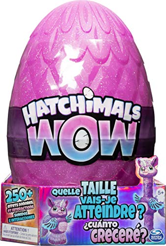 Boneco Temáticos SPIN MASTER Hatchimals HatchiWow (Idade Mínima Recomendada: 6 anos) Hatcals - Brinquedos - temáticos, hatchimals, hatchiwow, SPIN MASTER