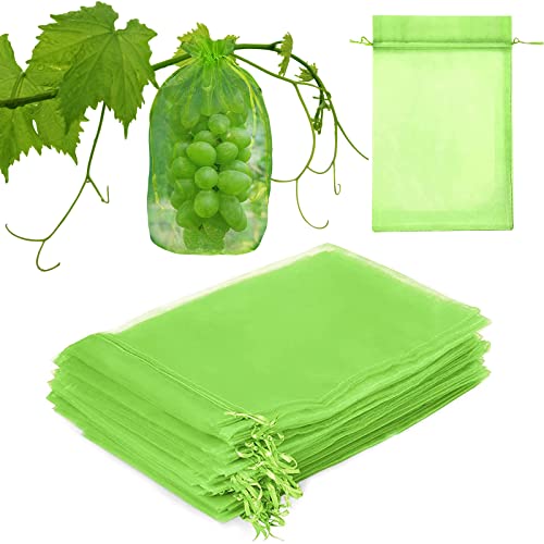 Sacos Protetores de Uva HENGBIRD 50 Unidades HENGBIRD - Gaiolas e suportes para plantas - sacos protetores, uva, henbird, 50 unidades