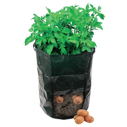 Saco de Cultivo para Batatas SILVERLINE 1000 g Silverline - Vasos e canteiros - 1000 g, anti-uv, lavável, reutilizável