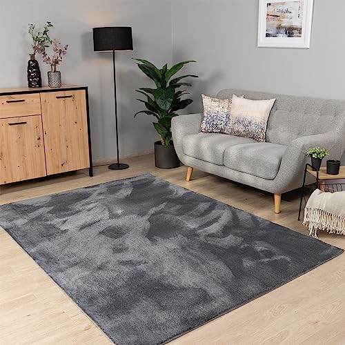 Tapete HOME & LIVING 119115 (Antracite - 300 x 400 cm) Paco Home - Tapetes - antracite, 300x400 cm, poliéster