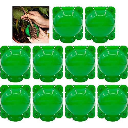 Kit de Enraizamento de Plantas 10 Unidades Dinntty - Eletrodomésticos - enraizamento, plantas, plástico