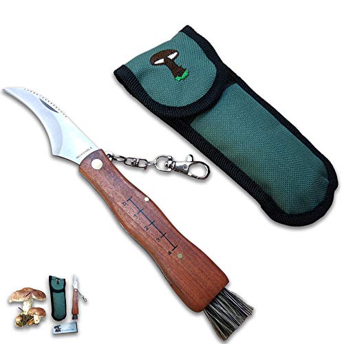 Navalha Cuperinox para Funções de Setas cuperinox - Grampos de ferramentas e tornos - navalha, cuperinox, funções, setas