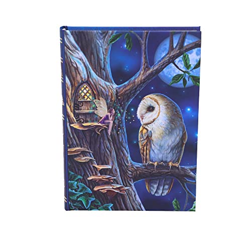 Caderno de Desenhos para Crianças NEMESIS NOW Lisa Parker Fairy Tales Nemesis Now - Cadernos e bloco de notas - capa em cartão, 100 páginas, fecho de corrente