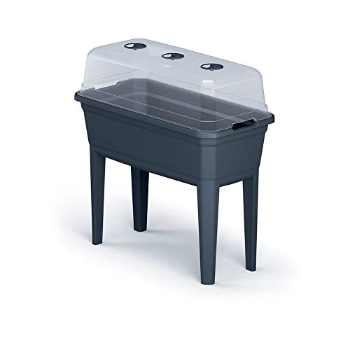Vaso PROSPERPLAST Respana (Azul - 59.6 x 36.8 x 75.3cm) Prosperplast - Vasos e canteiros - azul, 59.6x36.8x75.3 cm
