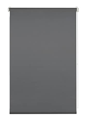 Estores de Rolo DECOR & COMPANY Antracite (60 x 150 cm) Gardinia - Persianas e cortinas - antracite, 60x150 cm