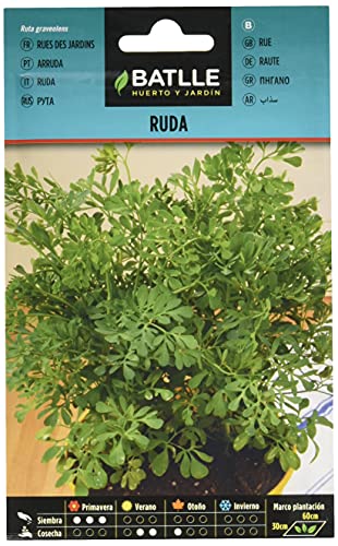Sementes de Plantas Medicinais BATTLE Ruda (Ruta Graveolens) 20 g BATLLE - Sementes - sementes, plantas medicinais, ruda, 20 g