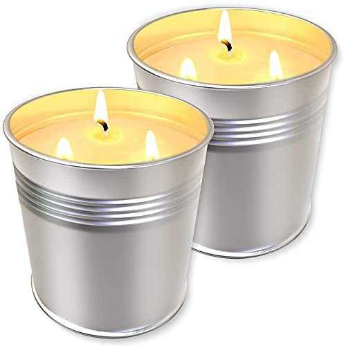 Velas TOPSICS 2 Peças Grande Vela De Citronela Topsics - Repelentes de insetos domésticos - cera de abelhas, 1,5 cm altura, aroma citronela, madeira de pinho