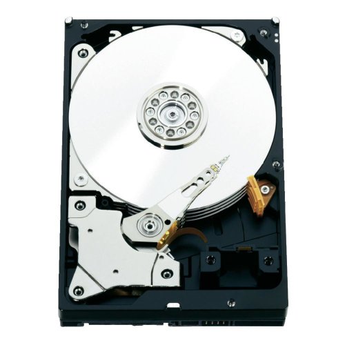 Disco HDD Interno WESTERN DIGITAL 2TB 7200rpm 64MB (2 TB - SAS - 7200 RPM) Western Digital - Discos rígidos - 2 TB, 7200 rpm, 64 mb, sas