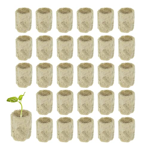Caixa de Cultura OHYER 30 Peças (Laranja) OHYER - Adubos - pedra fundida, absorção de água, nutrientes, cultivadores profissionais