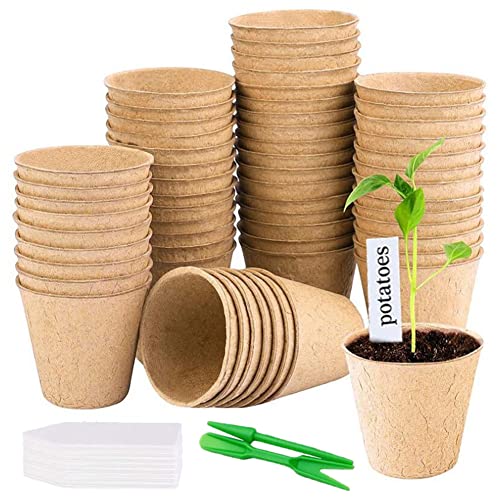 Aishow 50 Peças Caixa de Sementes 8Cm Redondas Biodegradáveis Semilleros AISHOW - Vasos e canteiros - peças, caixa, sementes, biodegradáveis