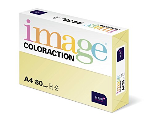 Papel de Impressão ANTALIS 294243 A4 (210x297 mm) Fosco Branco Antalis - Papel de impressora e copiadora - a4, 80g/m², foscobranco, 500 folhas