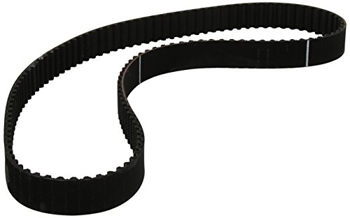 Correia para Porta GATES 5578XS (1.23m x 2.7cm) GATES - Variadores de frequência e velocidade ajustável - 1.23m, 2.7cm, poliéster, fixação