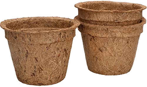 Vaso KOTARBAU Coco (12x9 cm - 6 Unidades) KOTARBAU - Móveis de exterior - 12x9 cm, 6 unidades