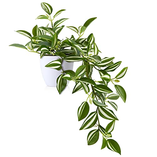 Planta Artificial SOGUYI (Verde - 38 cm) SOGUYI - Casa e jardim - verde, 38 cm