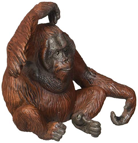 Figura de Brincar PAPO Orangután (Idade Mínima Recomendada: 3 anos) Papo - Bonecos de ação e brinquedo - 22 cm, pvc, idade mínima 3 anos