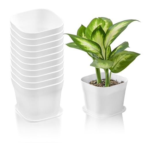 Vaso Quadrado Hekobag 10 Unidades (Plástico - Branco) HEKOBAG - Vasos e canteiros - plástico, branco, quadro