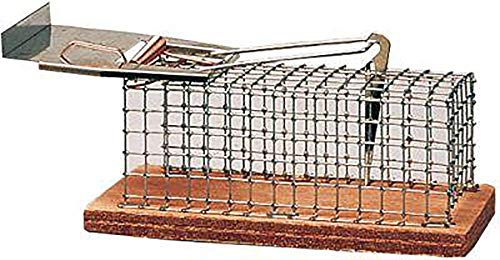 Rato de Armário LUNA 5001 (Recondicionado Como Novo) Knock Off - Armadilhas de controle de pragas - fecho, proteção, amigável, recondicionado