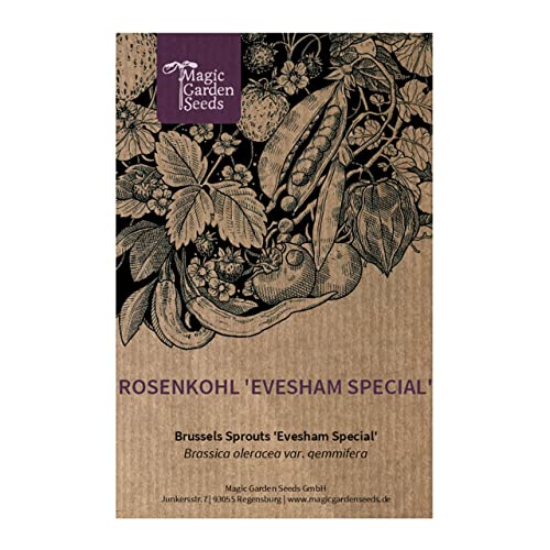 Sementes de Vegetais GUSTO EXOTICOS Coles De Bruxelles Evesham Special Magic Garden Seeds - Sementes - sementes, vegetais, gusto exóticos, coles de bruxelles, evesham special