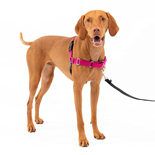 Trela para Cães PETSAFE (Rosa - 50 cm - Até: 20 Kg - Mediano) Croci - Coleiras e arnês para animais de estimação - rosa, 50 cm, até 20 kg, mediano