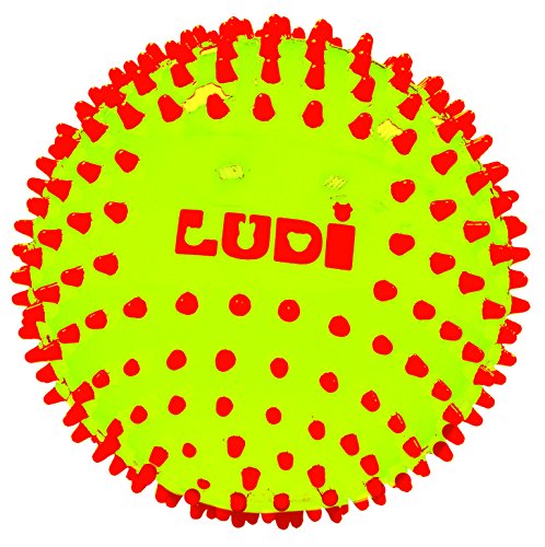 Pelota Sensorial Ludi (Idade Mínima Recomendada: 6 meses) Ludi - Brinquedos de atividade para bebês - sensorial, 6 meses, destreza, coordenação