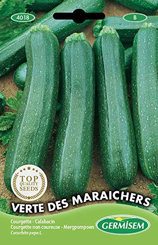 Sementes de Pepino GERMISEM Verte Des Maraisers 3G GERMISEM - Sementes - pepino, germissem, verte des maraisers 3g, sementeira em casa, sementeira no exterior