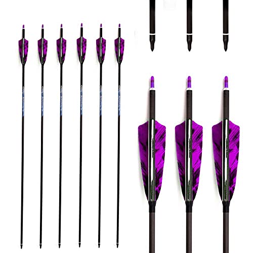 Flechas de Caza ACCMOS (Recondicionado Como Novo) ACCMOS - Alvos de tiro - arco, flecha, alumínio, preto, cinzento, roxo