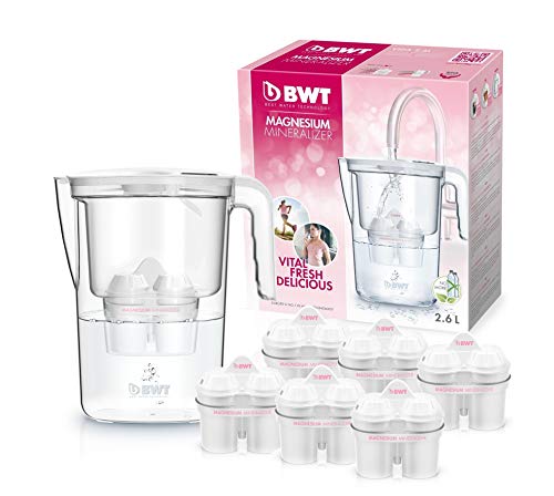 Filtro de água para cozinha BWT Speciale BWT - Jarras e garrafas para servir - filtro, cloro, cal, dureza, não tóxico