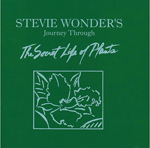 Blu-Ray Stevie Wonder'S Journey Through The Secret Life Of Pla (Edição em Espanhol) Motown - Música e gravações de som - blu-ray, espanhol