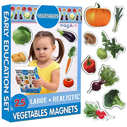 Brinquedo Educativo MAGDUM Magnetic Garden MAGDUM - Brinquedos - educativo, magnético, geometrias, 20 peças