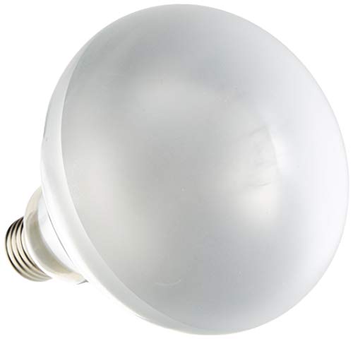 Lâmpada para Terrário EXO TERRA Solar Glo Vapor Mercury 125W EXO TERRA - Aquecimento e iluminação do habitat de répteis e anfíbios - terrário, solar, 125w