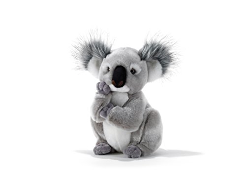 Pelúcia PLUSH & COMPANY Kolette Koala (Idade Mínima Recomendada: 3 anos) Toyland - Animais de pelúcia - Pelúcia, kolette koala, idade mínima recomendada 3 anos