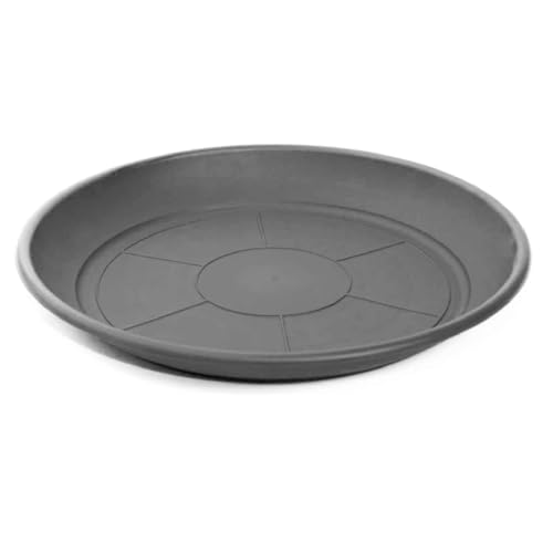 Prato para Macieira AC (Plástico - 34 x 34 cm) Chino Antonio - Pratos e bandejas para vasos de jardim - plástico, 34x34cm
