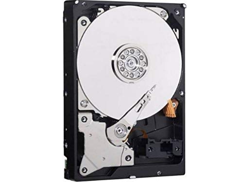 Disco HDD Interno WESTERN DIGITAL WDS100T2B0A (1 TB - SATA - 5400 RPM) Western Digital - Discos rígidos - 1 tb, sata, 5400 rpm