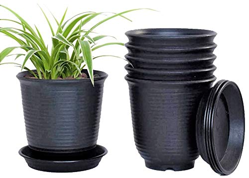 Caixa de Arranque para Plantas KAHEIGN 6 Peças KAHEIGN - Vasos e canteiros - caixa, arranque, plantas, kaheign