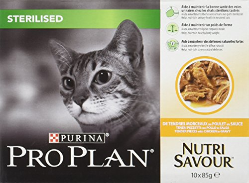 Ração para Gato PURINA Pro Plan (85g - Seca) PURINA - Comida para gatos - seca, 85g, gato