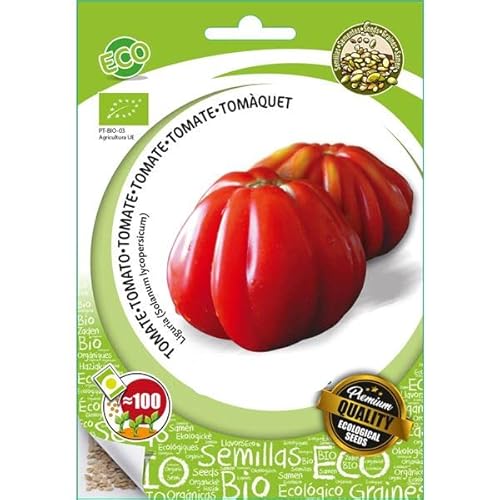 Sementes de Tomates HEGER Heart of Cow (XL) DECOALIVE - Sementes - tomate, heger, heart of cow