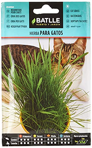 Brinquedo para Gatos BATTLE Seminatural (10-15cm) BATLLE - Sementes - brinquedo, gato, batalha