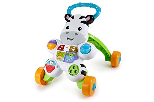 Brinquedo Interativo FISHER PRICE Zebra of Fun (Idade Mínima Recomendada: 1 ano) Mattel - Móveis para bebês e crianças pequenas - interativo, letras, números, 1 ano
