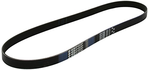 Correia para Pulso GAT MICRO-V XF (Preto - 7.5 x 20 cm) GATES - Peças do motor do veículo automóvel - epdm, resistente a riscos, temperatura extremas, 120 kgf