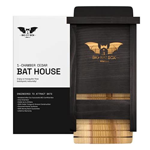 Casas para Morcegos WILDYARD Bat House For Outdoors WildYard - Casas de morcegos - resistente, durável, climatizado, principiante