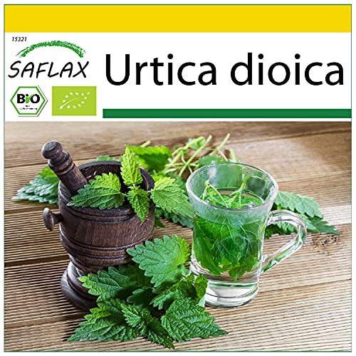 Sementes Orgânicas Urtiga Urtica Dioica 2000 Saflax SAFLAX - Lâmpadas de plantas e flores - sementes orgânicas, urtiga urtica dioica, chá, resistente ao gelo, resistente à seca