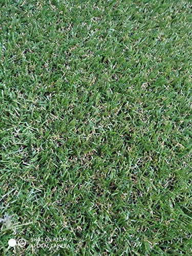 Rolo de Relva Artificial 20Mm 1X5M Azul Turquesa Comercial Candela - Jardinagem - 20mm, 5m, azul turquesa