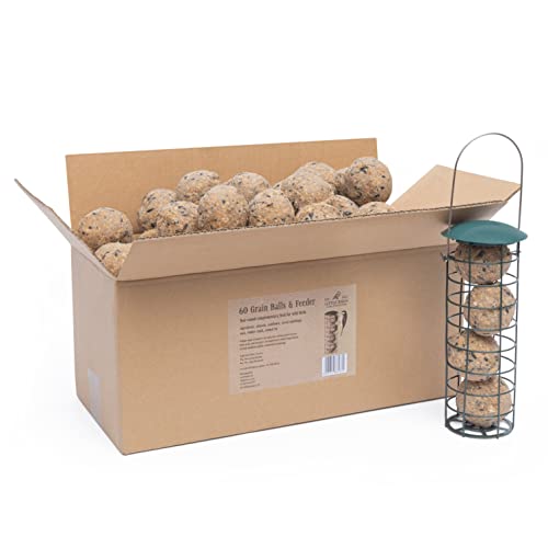 Comida para Pássaros 60 Bolas de Gordura (Recondicionado Como Novo) Little Birds - Alimentos para pássaros - gordura, pássaros, recondicionado