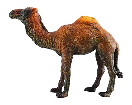 Figura de Ação COLLECTA Dromadaire (Idade Mínima Recomendada: 3 anos) Collecta - Bonecos de ação e brinquedo - figura, ação, collecta, dromadaire, deserto