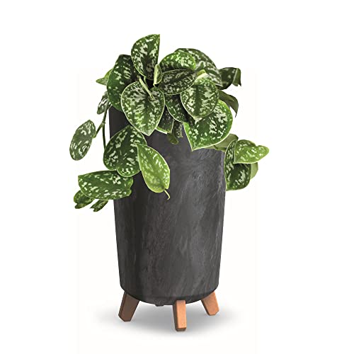Vaso para Plantas HÖH 2000-01 | Antracite botle - Móveis de exterior - plantas, antracite