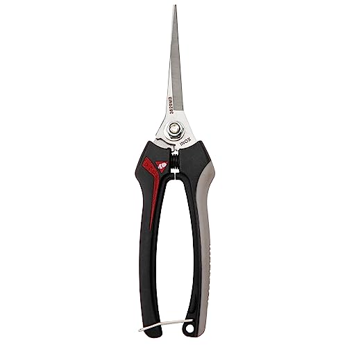 Tesoura de Podas BELLOTA Inox GR25 MB (Long. 8 cm) Bellota - Tesouras de poda - aço inoxidável, 8 cm, pico de podar, garantia 2 anos