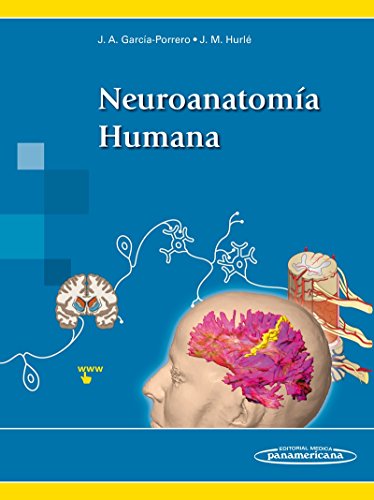 Livro Neuroanatomia Humana de David C. Morton (Espanhol) Editorial Médica Panamericana S.A. - Livros - neuroanatomia humana, livro