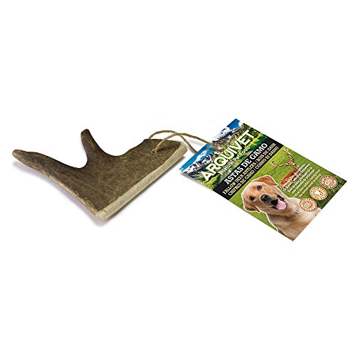 Arquivet Asta de gamo S (Médio) Snack natural para cães Arquivet - Petiscos para cães - natural, hipoalergénico, sem químicos, 100% natural