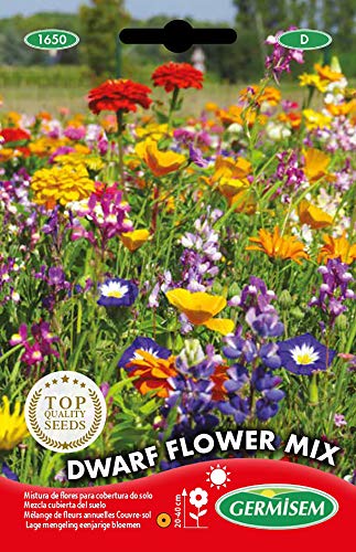 Semente de Flores GERMINOVA MISTURA DE FLORES P/Cobertura de Solo (1.5 kg) GERMISEM - Sementes - mistura, cobertura, 1.5 kg